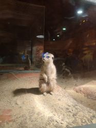 -酷嗒动物文化乐园(cutezoo西溪乐天城店)