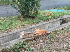 -紫马岭公园