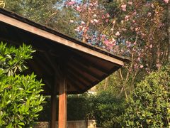 -天目湖涵田半山温泉