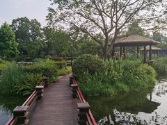 -成飞公园