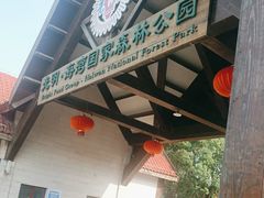 -上海海湾国家森林公园