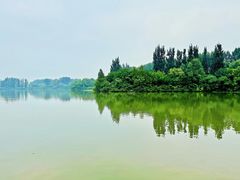 -翠湖国家城市湿地公园