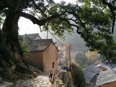 -杨家堂村