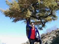 -灵山