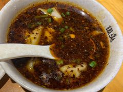 红油抄手-搓火大都会(广安门总店)