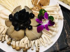 -秦宝雪花牛肉养生火锅(大兴九臻店)