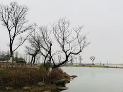 -滆湖低碳生态公园