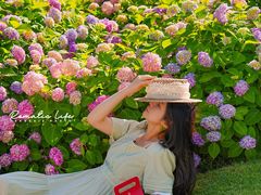 -LE JARDIN de Joel Robuchon(新世界大丸百货店)
