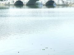 -飞来湖湿地公园