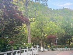-黔灵山公园