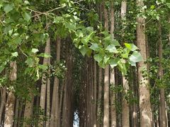 -怀来官厅水库
