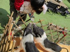 -HERRE·FARM 赫尔露营农场·团建聚会包场