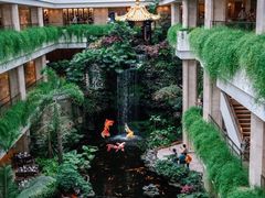 -广州白天鹅宾馆