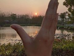 -南丹山森林王国