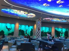 -瑞德姆美人鱼海底演艺主题餐厅(亚龙湾店)
