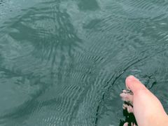 -千岛湖湖人皮划艇俱乐部