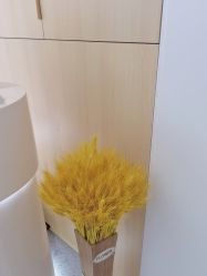 -康美贞·痘肌养护管理中心