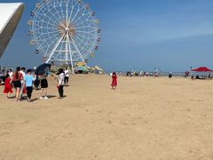 -奉贤海滩