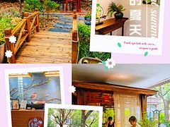 -中和·国风茶馆(愚园路店)
