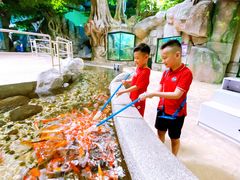 -福州罗源湾海洋世界旅游区