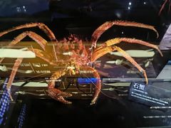 -同济大学四平路校区深海探索馆