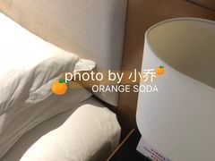 -武汉武昌站街道口华美达安可酒店