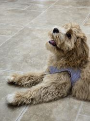 -WAVE SODA摄影工作室