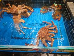 -阿明小菜·海鲜·上海菜(梅陇店)