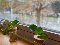 -雕刻时光咖啡馆(师大路店)