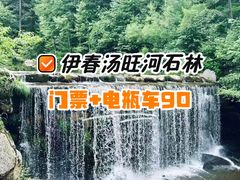 -汤旺河林海奇石景区