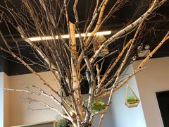 -十五食吾 La Pâtisserie (海甸岛店)