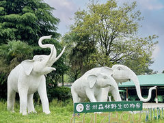 -贵州森林野生动物园