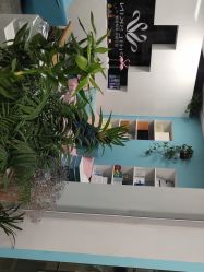 -斐尔国际皮肤管理中心