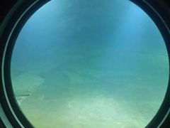 -白鹤梁水下博物馆