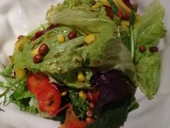 -大鸭梨烤鸭店(花园村店)