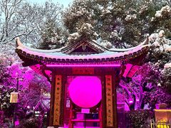 -绳金塔