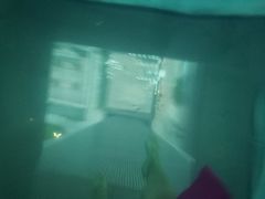 -上海浦东康桥绿地假日酒店