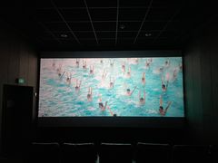 -汉阳天河电影城(王家湾店)