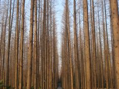 -上海怡沁园度假酒店