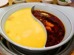 -青瓷火锅料理(西单大悦城店)