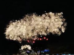 -大塘金香草谷