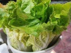 -墨脱石锅椰子鸡•香草鸭•东山羊(大东海店)