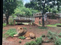 -昆明动物园