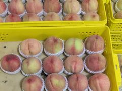 -老袁家蜜桃农场·阳山水蜜桃