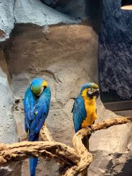 -Zoolung Zoolung动物主题公园(海信广场店)