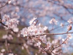 -东南大学(九龙湖校区)