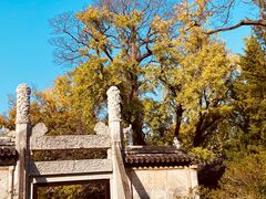 -苏州文庙(姑苏区)