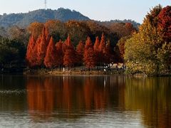 -浙江农林大学(东湖校区)