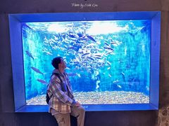 -成都浩海立方海洋公园