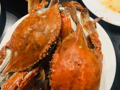 -蓝钻·国际美食海鲜自助百汇(西直门店)